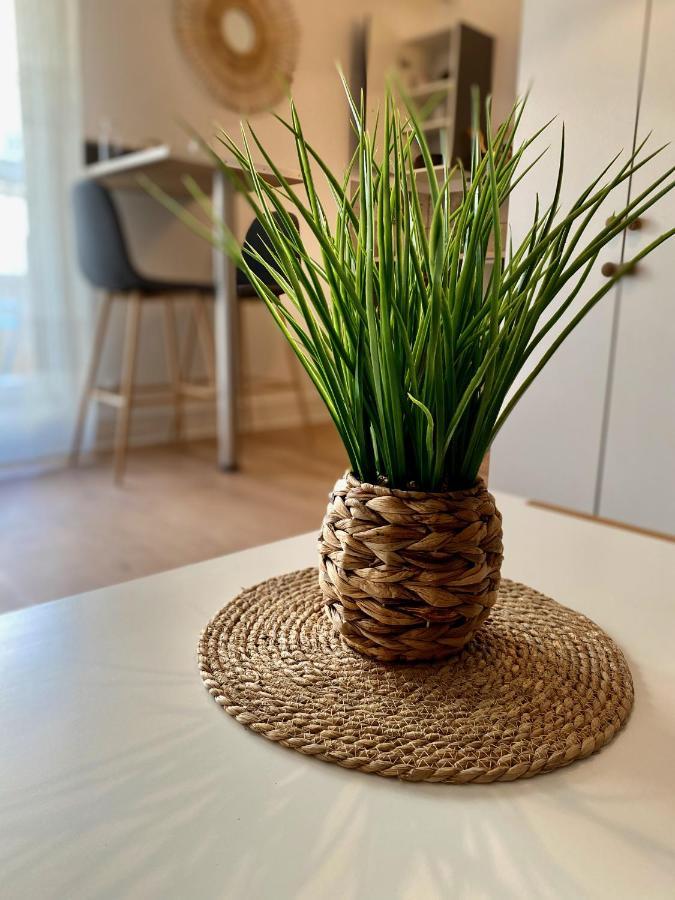 ルマンCosy Break Jardins Des Plantesアパートメント エクステリア 写真